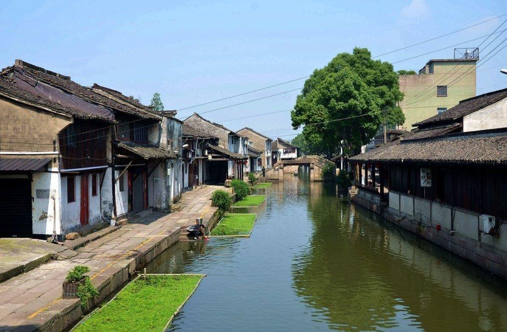 “蔗”里砍收忙 日子别样甜